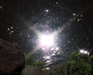 星空